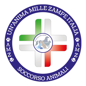 AMZ Italia