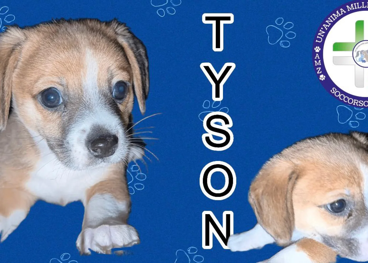 TYSON