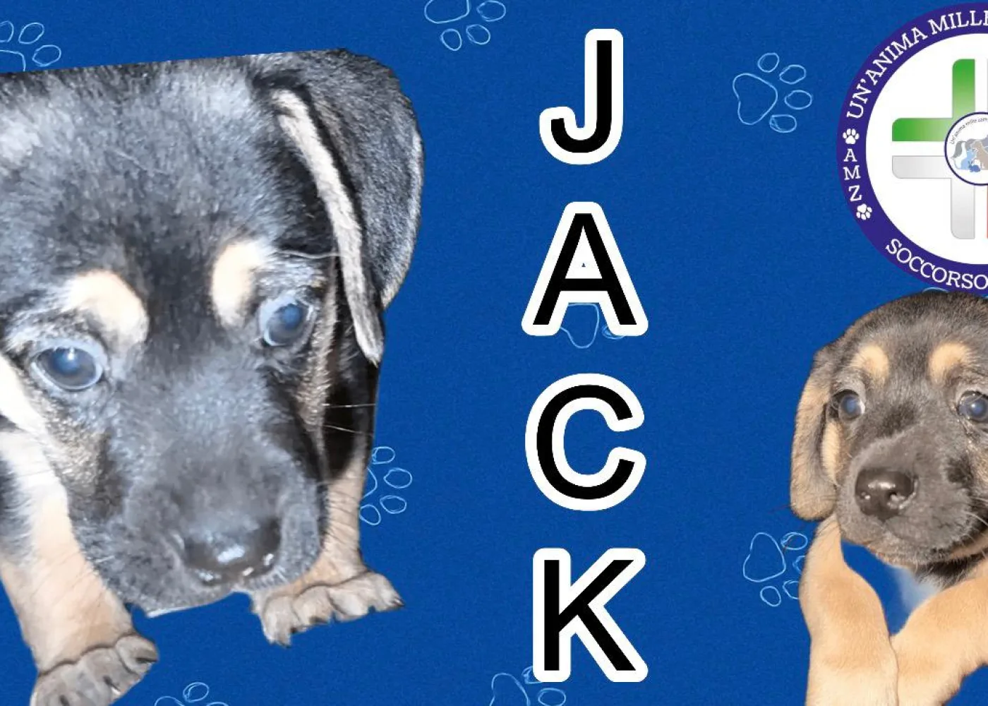 JACK