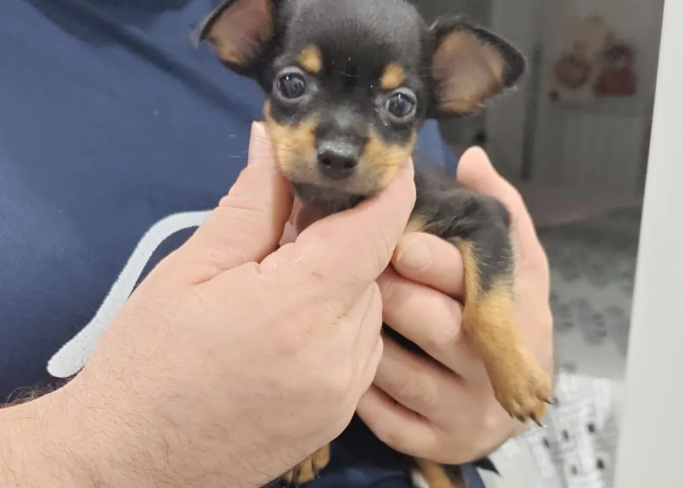 AIKO