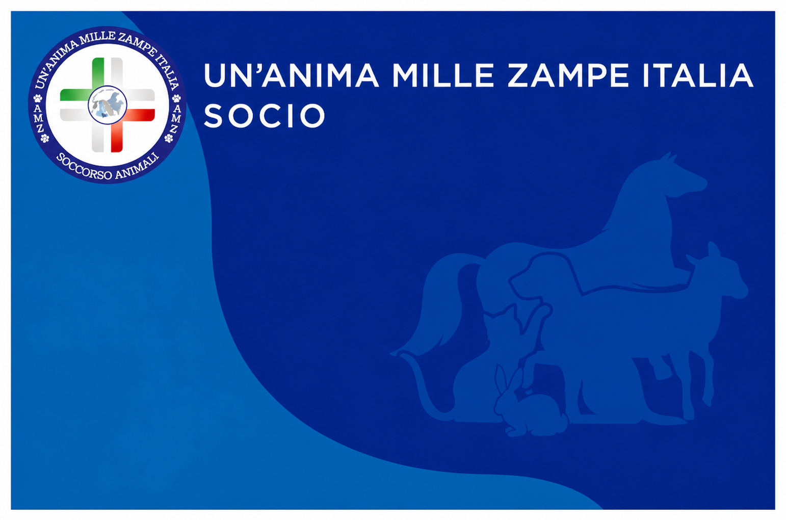 Socio