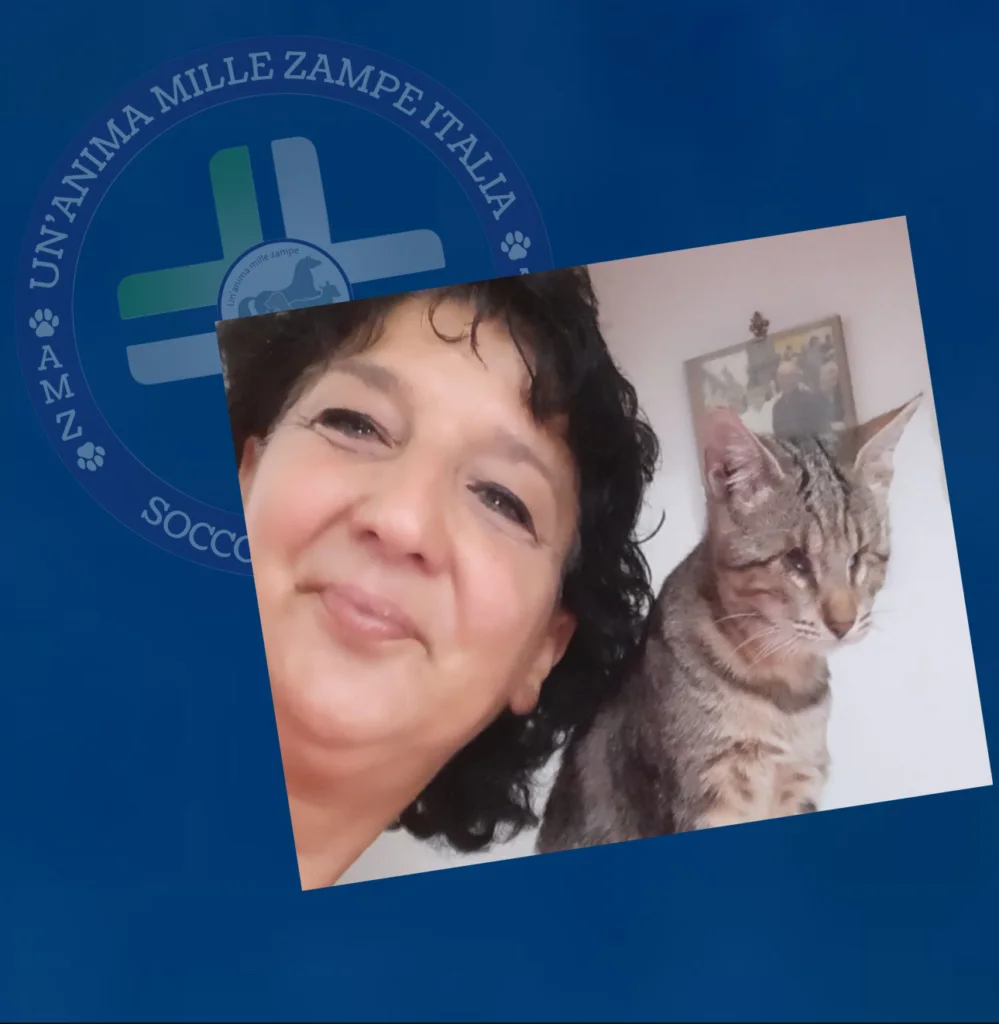 AMZITALIA DELEGAZIONE MOTTA SANT’ANASTASIA
