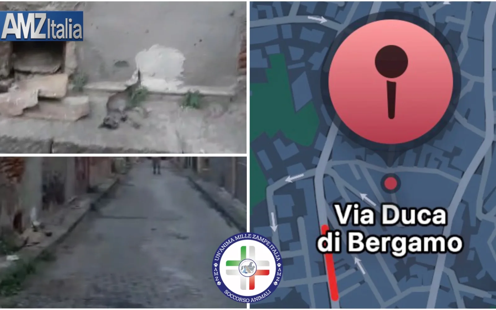 Motta Sant’Anastasia