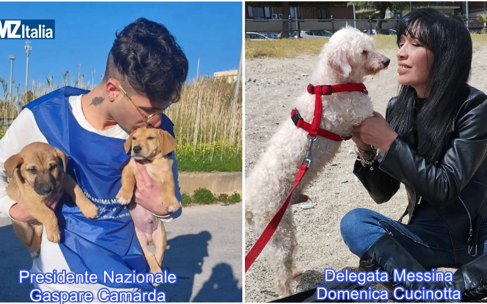 Messina: richiesta urgente ordinanza per il divieto di detenzione di animali e sequestro immediato