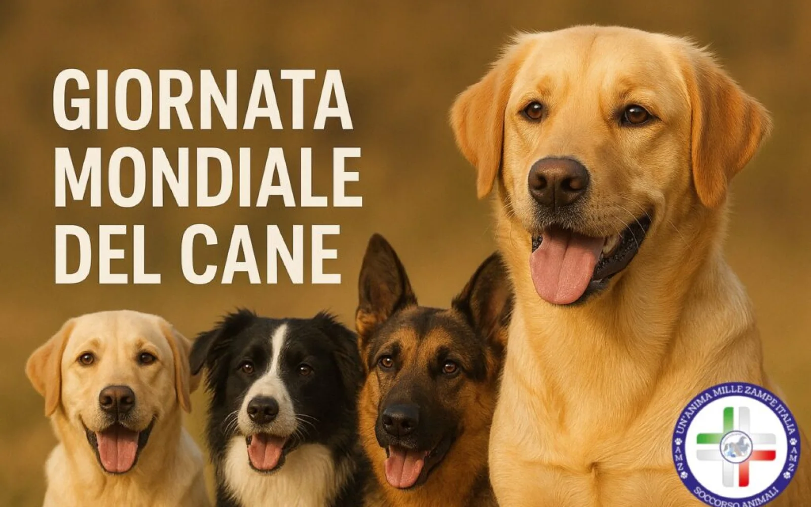 Giornata Mondiale del Cane, un amico che ci cambia la vita