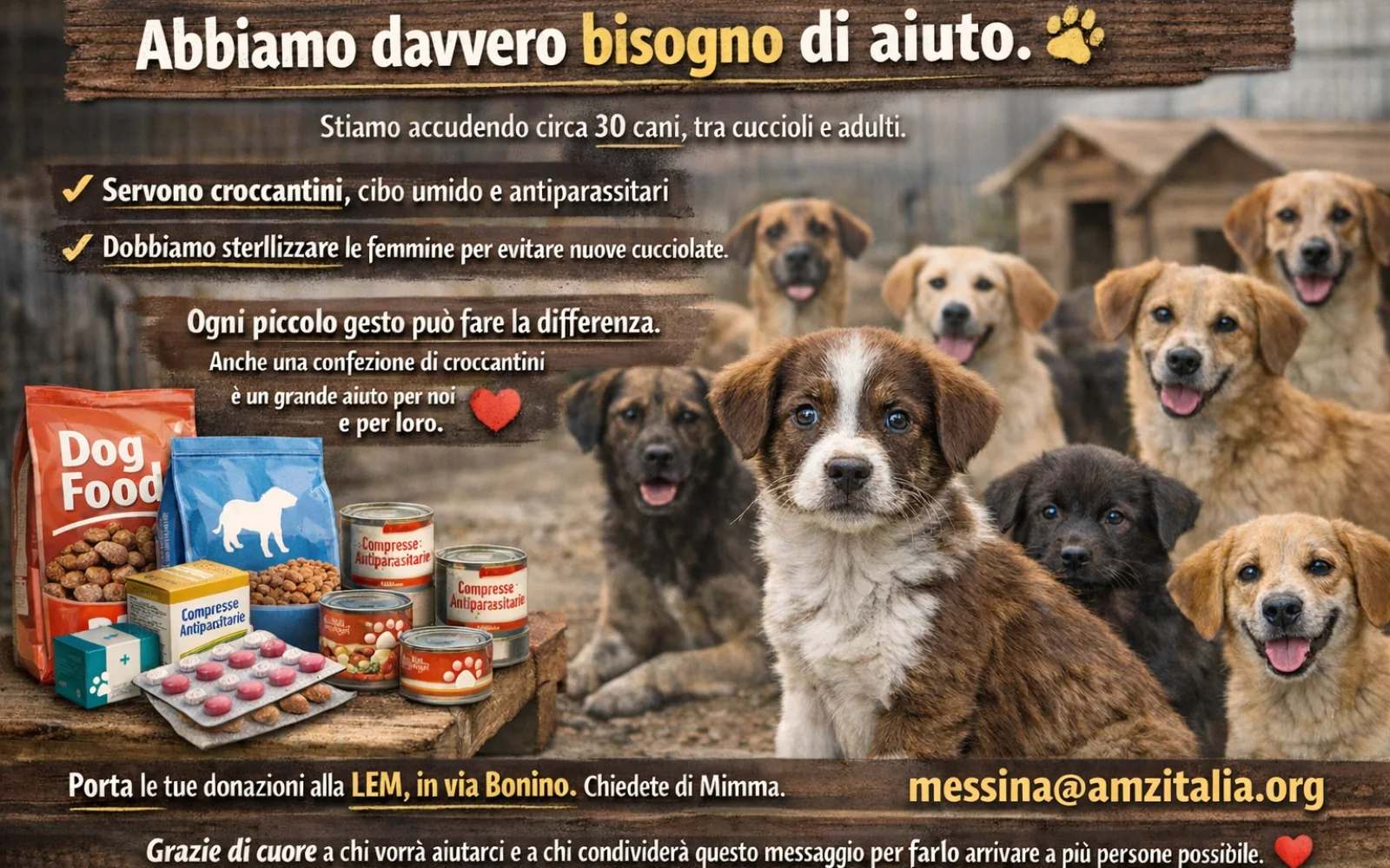 Un piccolo gesto può salvare tanti cani. Aiutaci ad aiutare