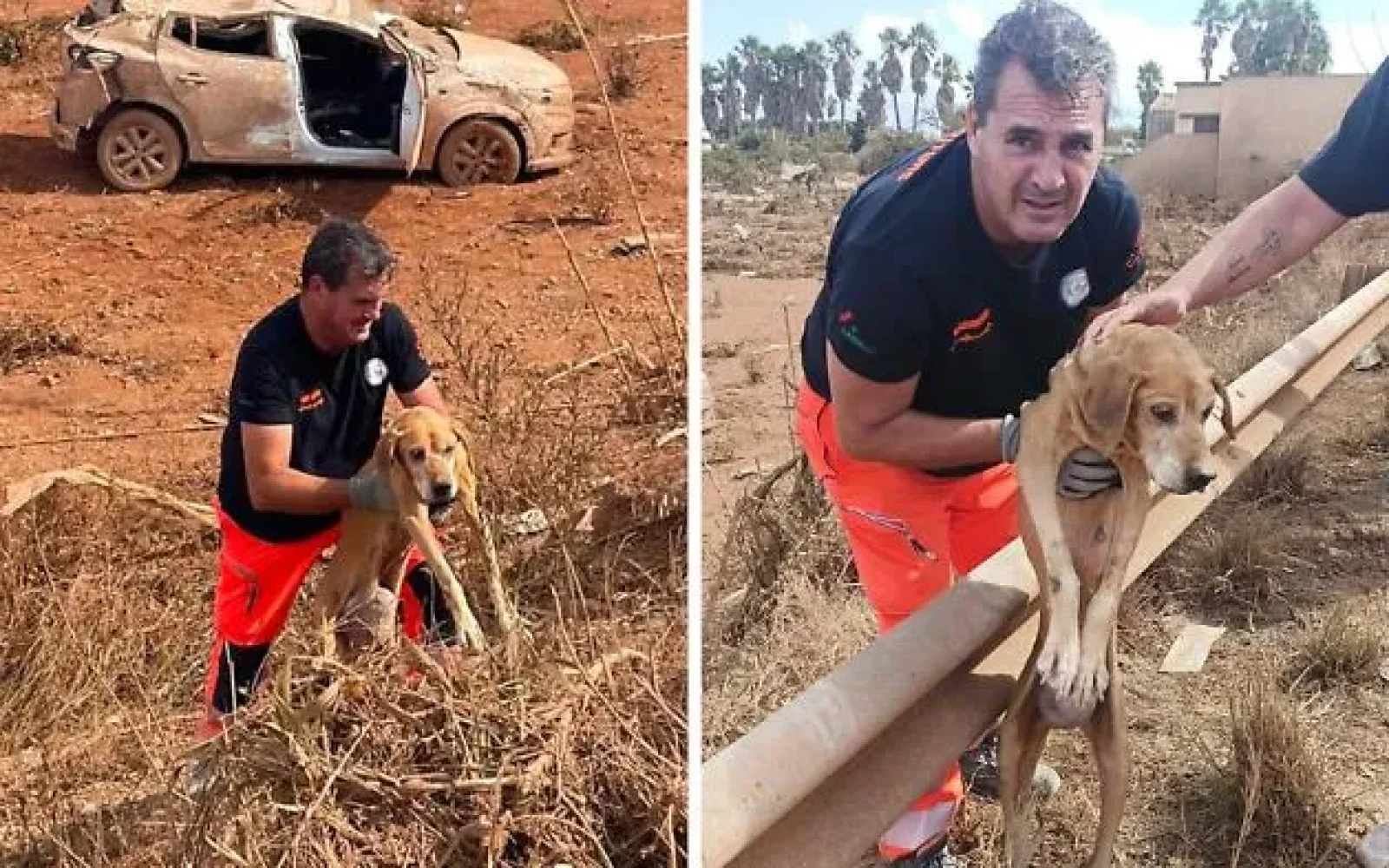 Maltempo nel Trapanese, salvato un cane da ANPAS Paceco Soccorso