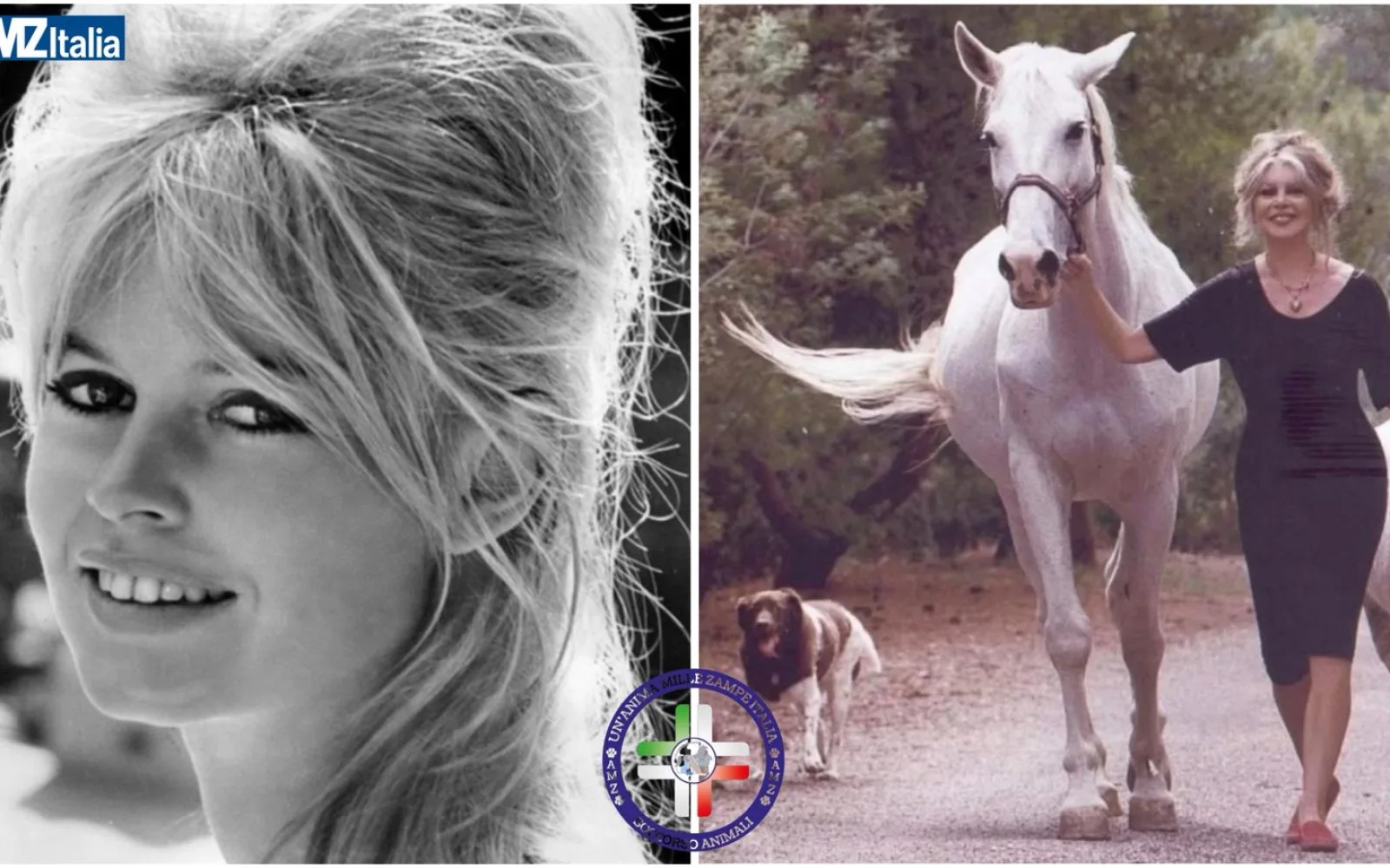 Brigitte Bardot, il mito senza tempo: diva del cinema e voce instancabile per gli animali