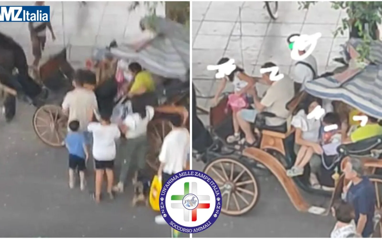 Palermo, ennesimo episodio shock, cavallo sfruttato per trasportare 8 persone e un cane su una carrozza